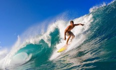 米兰体育-年度焦点之战，黄蜂强行终结灰熊，联盟格局暗流涌动