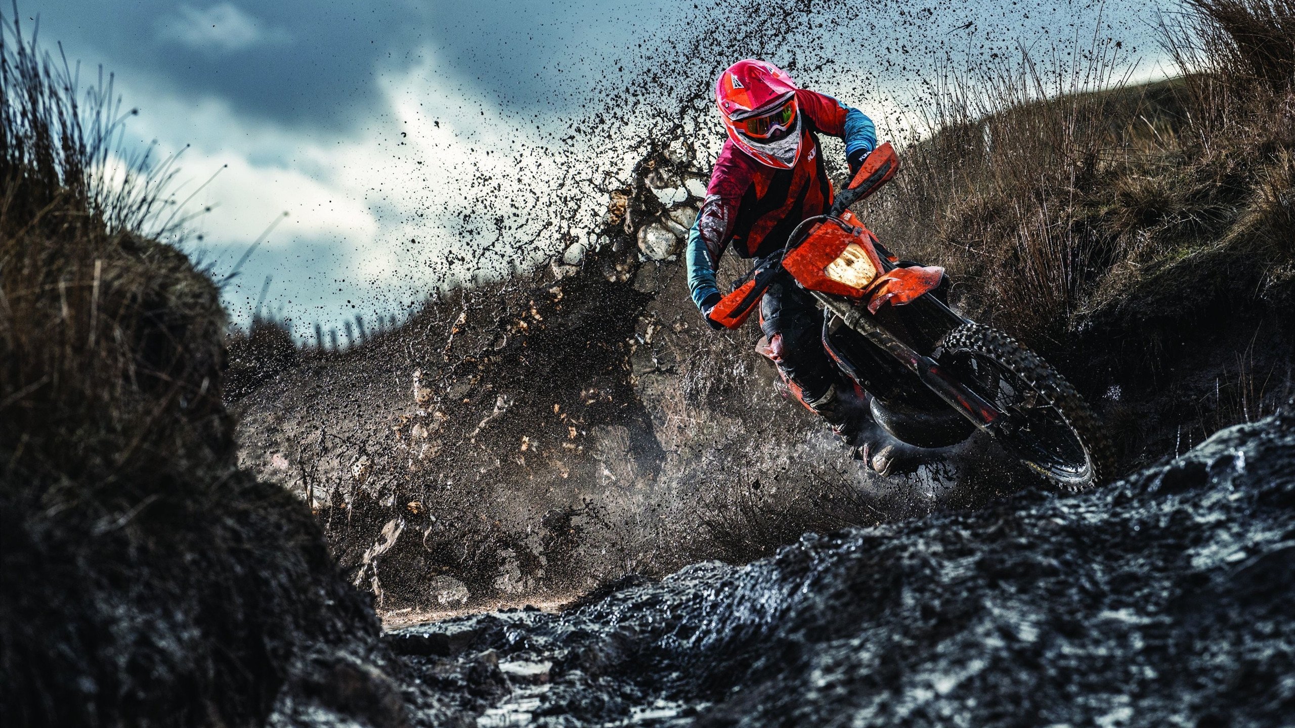 公牛掀翻国王,文班亚马成为关键先生